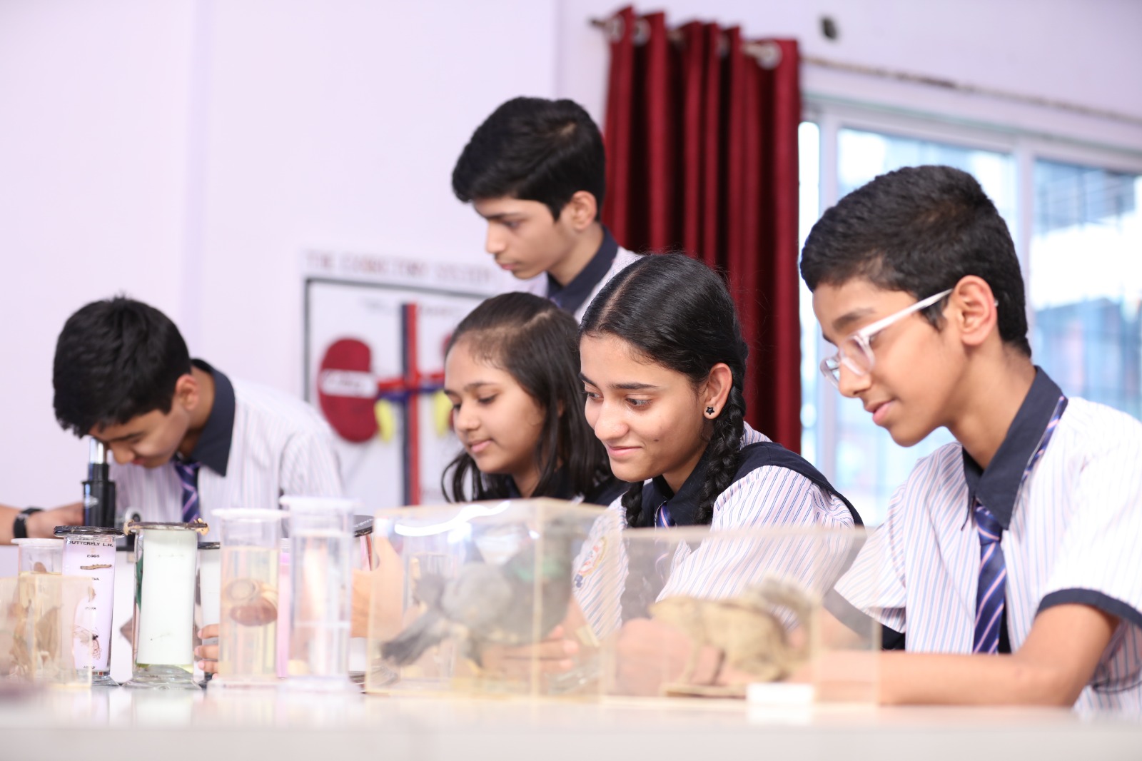 BIOLOGY LABS
